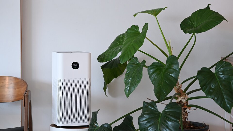 air purifier