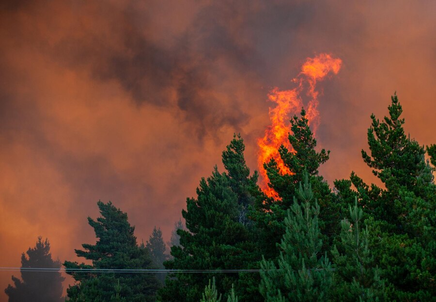 wildfire