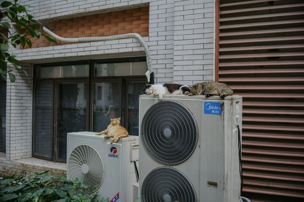 heat pump